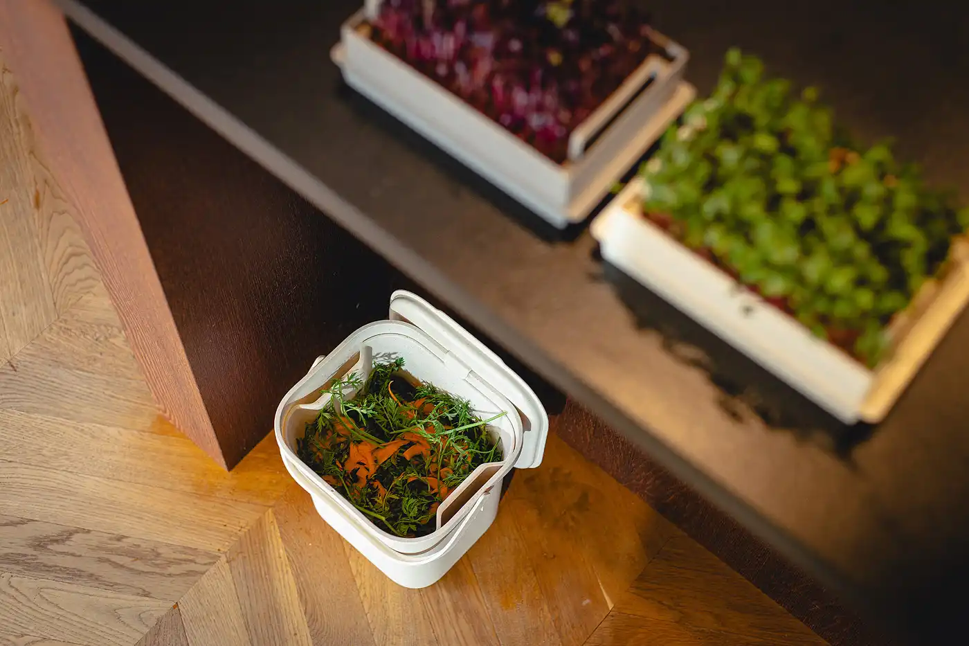 Biowaste Container by Plastia