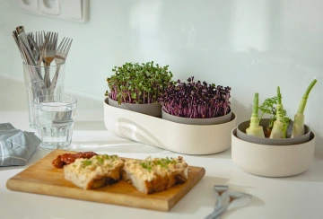 Mikrobylinky a zelenina ze zbytků Plastia