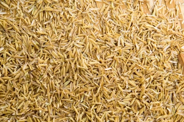 <a href="https://www.vecteezy.com/free-photos/rice">Rice Stock photos by Vecteezy</a>